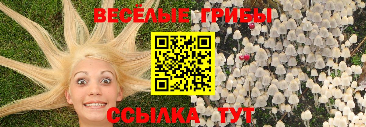 Барнаул  магазин  наркотиков  Вход с VPN  Галлюциногенные грибы Psilocybe 