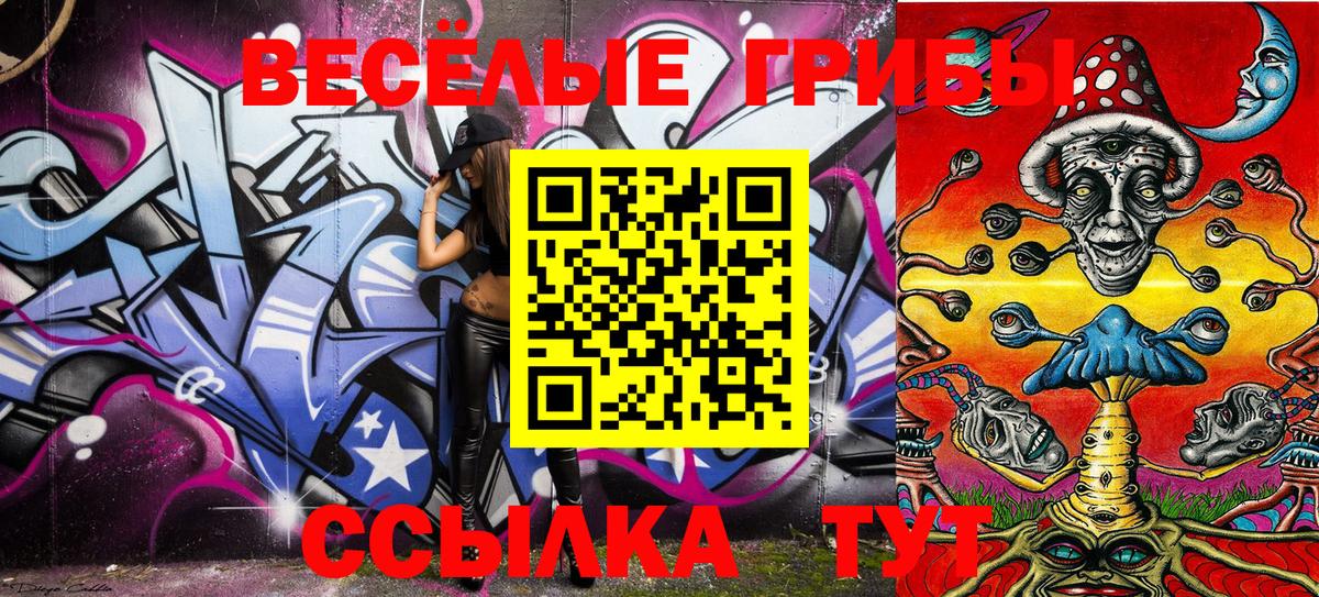 Псилоцибиновые грибы Psilocybe Барнаул